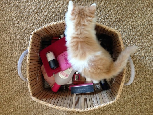 Atelier beauté du dimanche matin