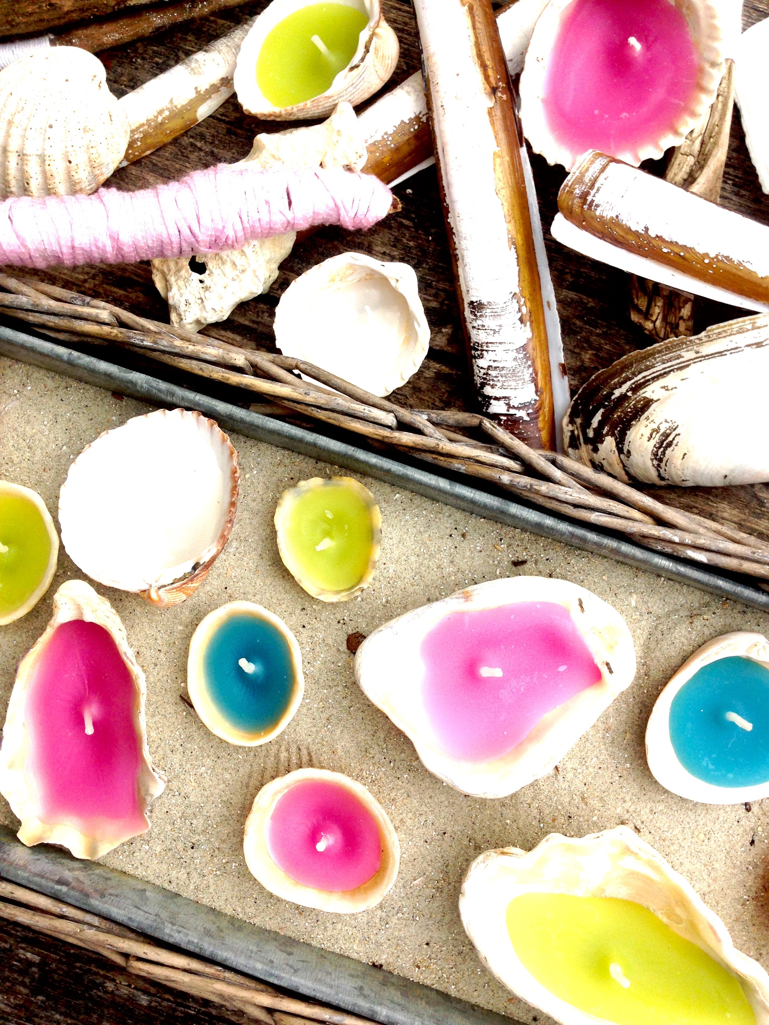 Folie bougies coquillages