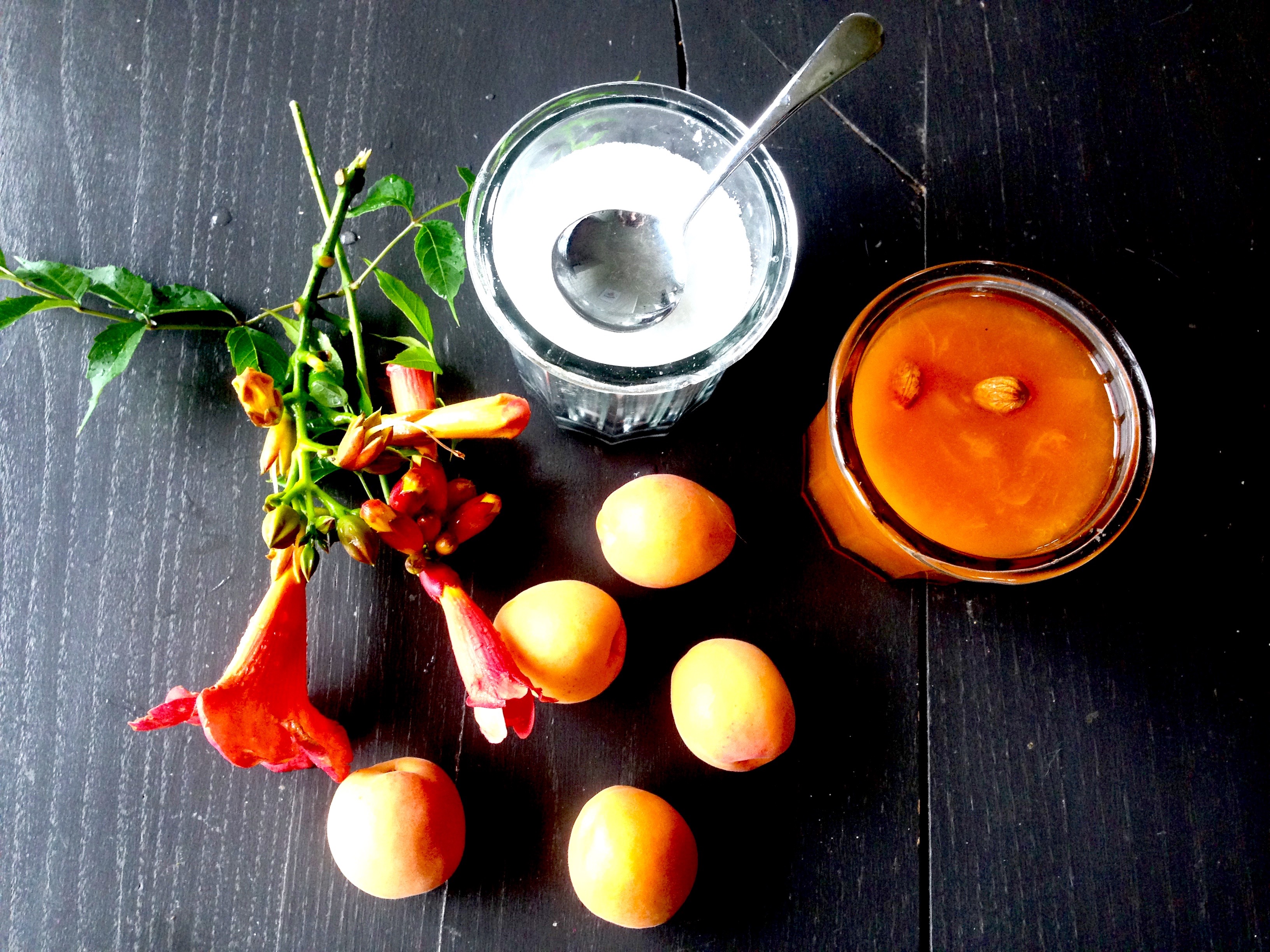 Confiture d'abricot - Les recettes de Mamie #5