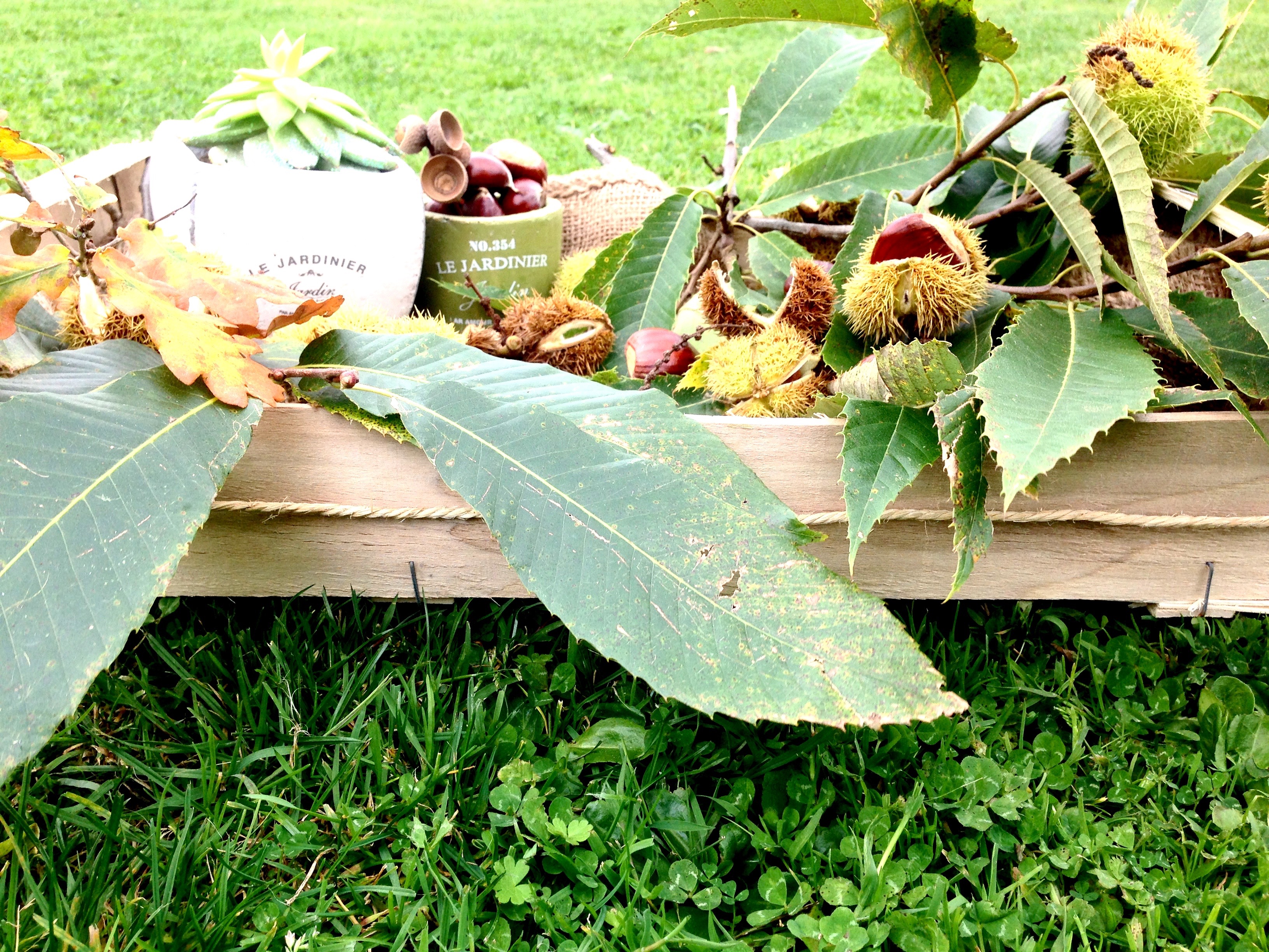 Automne - Les 7 petites choses #2